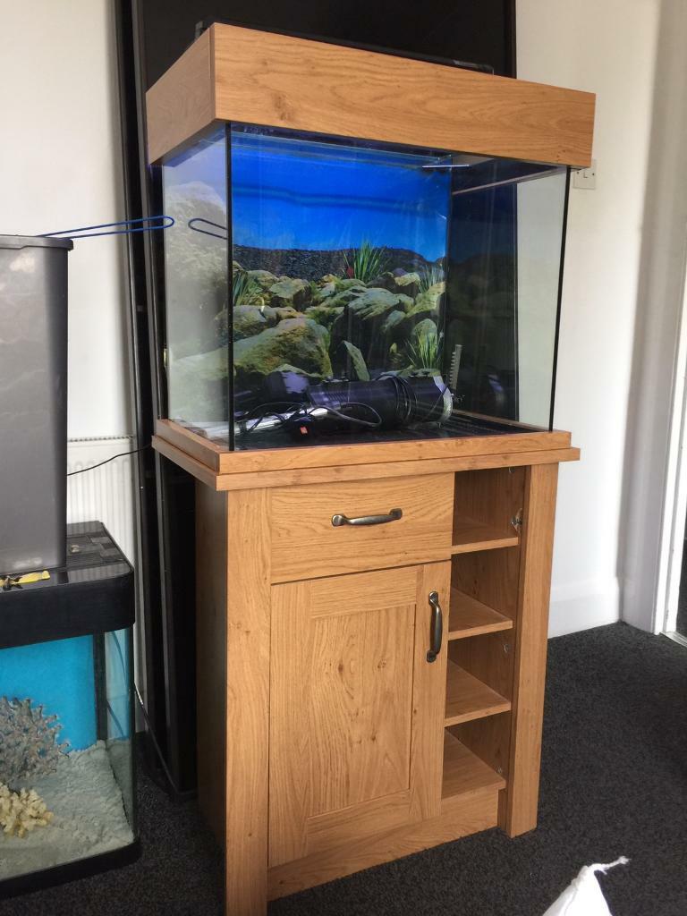 Aqua oak aquarium fish tank in WestcliffonSea, Essex Gumtree