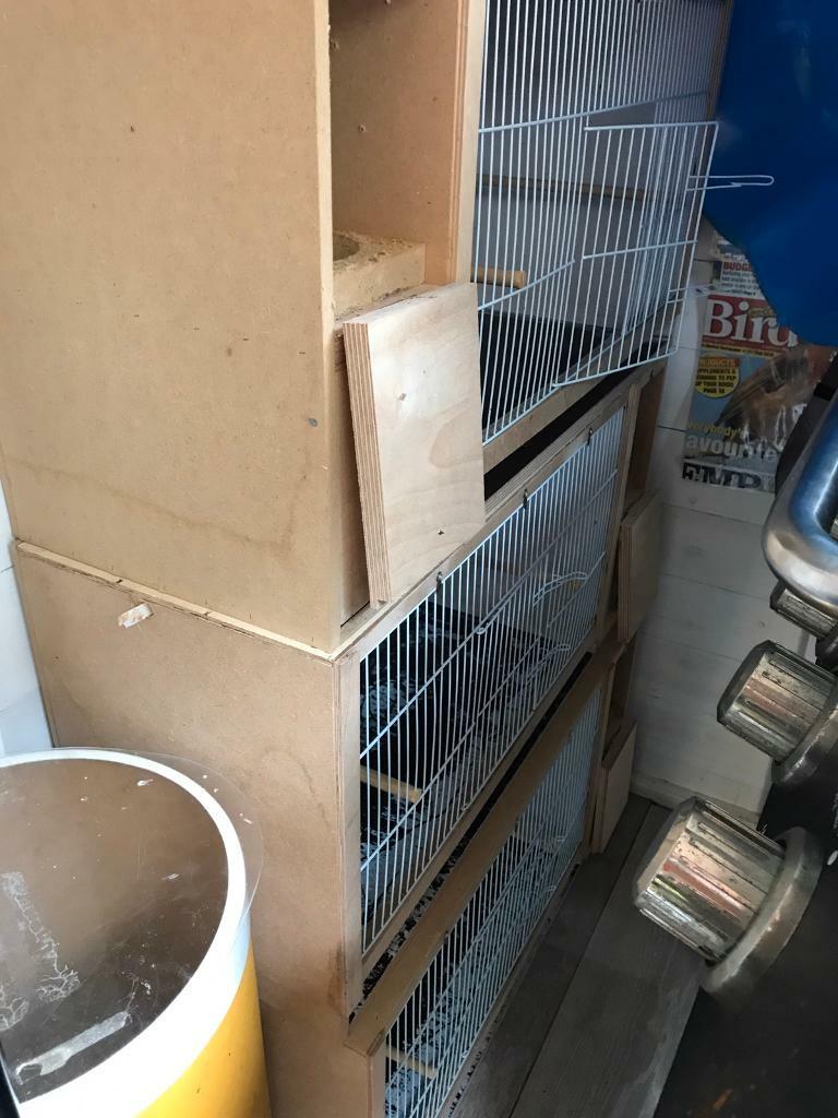BUDGIE DOUBLE BREEDING CAGES BRIXHAM in Brixham, Devon Gumtree