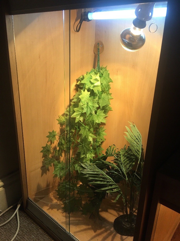 Large reptile enclosure for sale, previously used for a chameleon. All