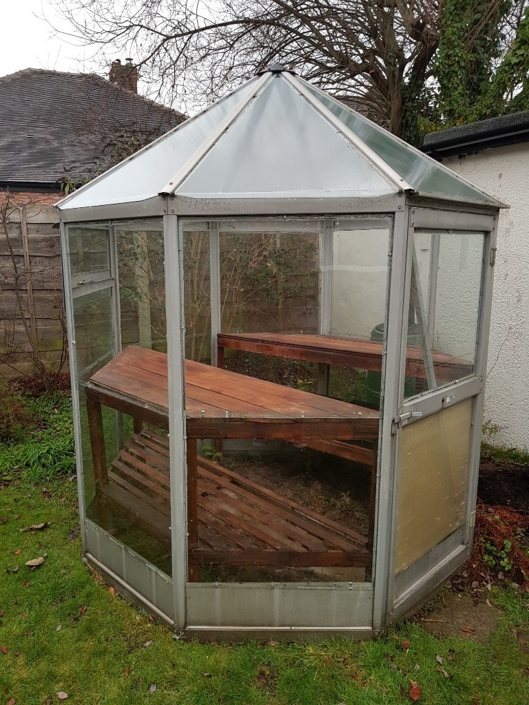 Octagonal Greenhouse in Sale, Manchester Gumtree