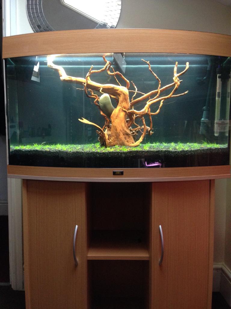 Juwel fish tank front bow 180 l in Liverpool City Centre, Merseyside