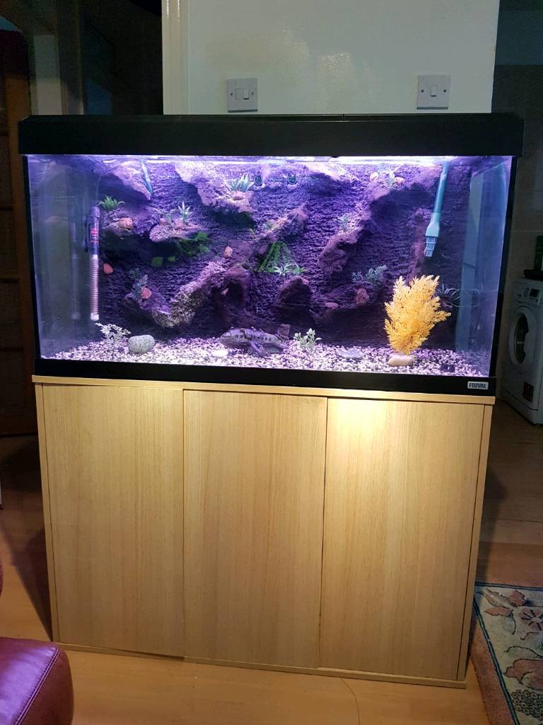 Fluval 200 liter Fish tank and Stand For Sale in Trafford, Manchester