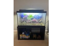 105L Fish Tank with Heater, Filter and Accessories 