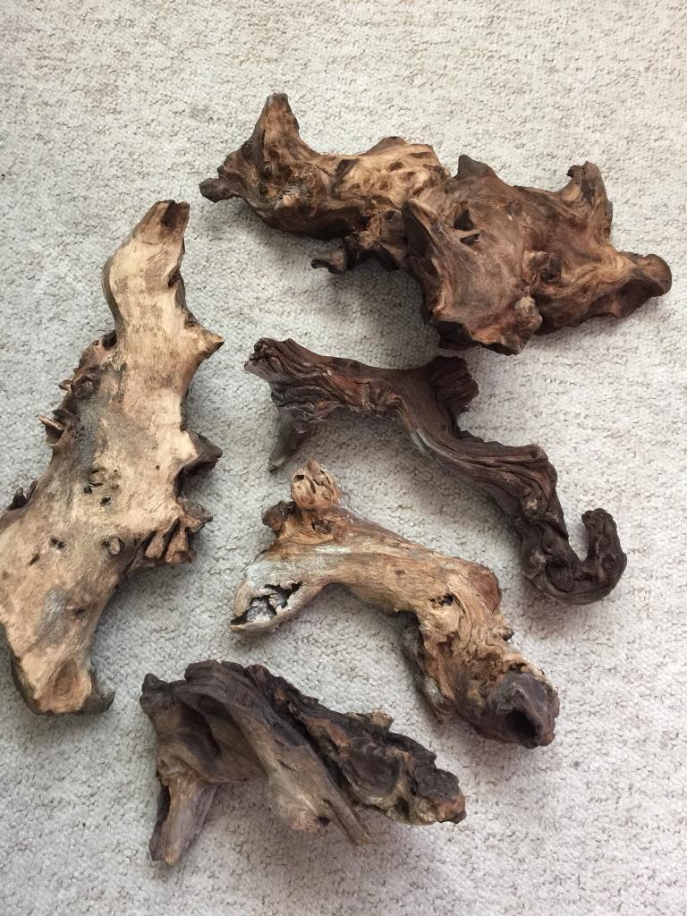Aquarium bogwood (4.5kgs) in Poole, Dorset Gumtree