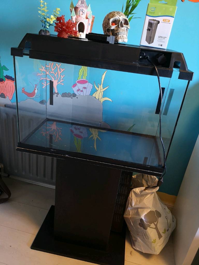 64 Litre Fish tank Offers in Barrhead, Glasgow Gumtree
