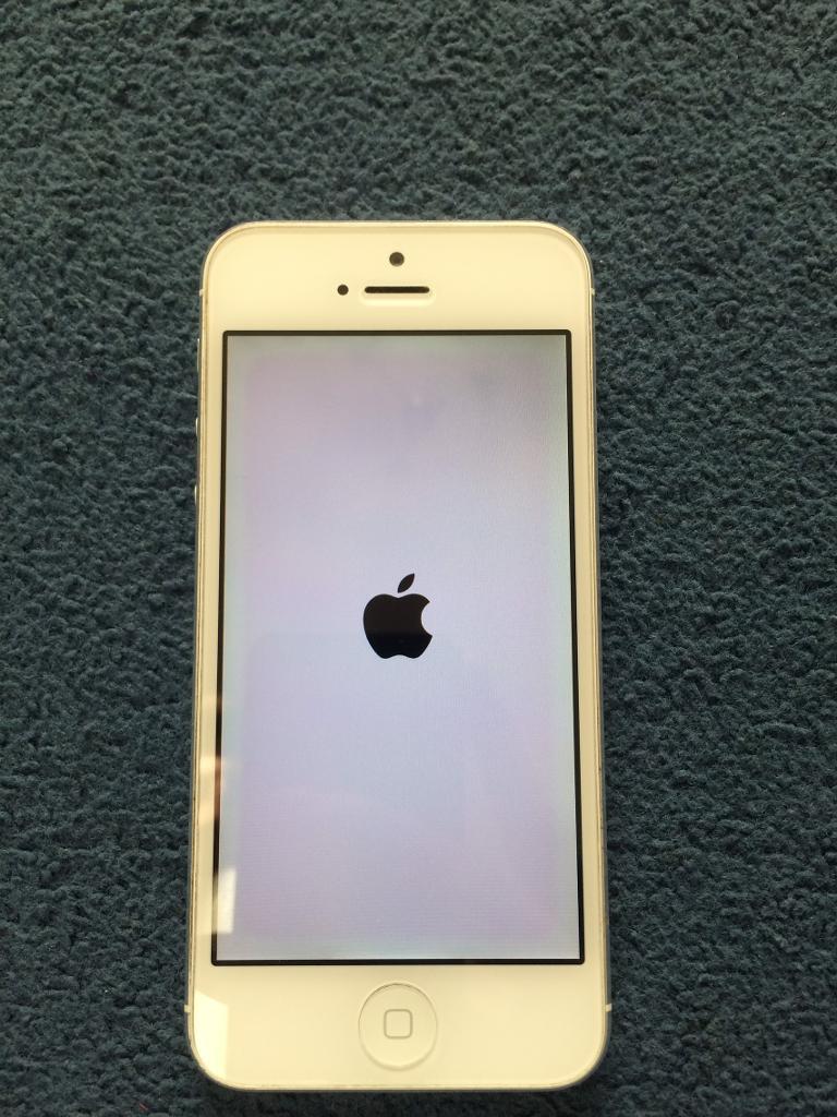 Apple iPhone 5, 64gb, White, Open to any network | in Gorton, Manchester | Gumtree