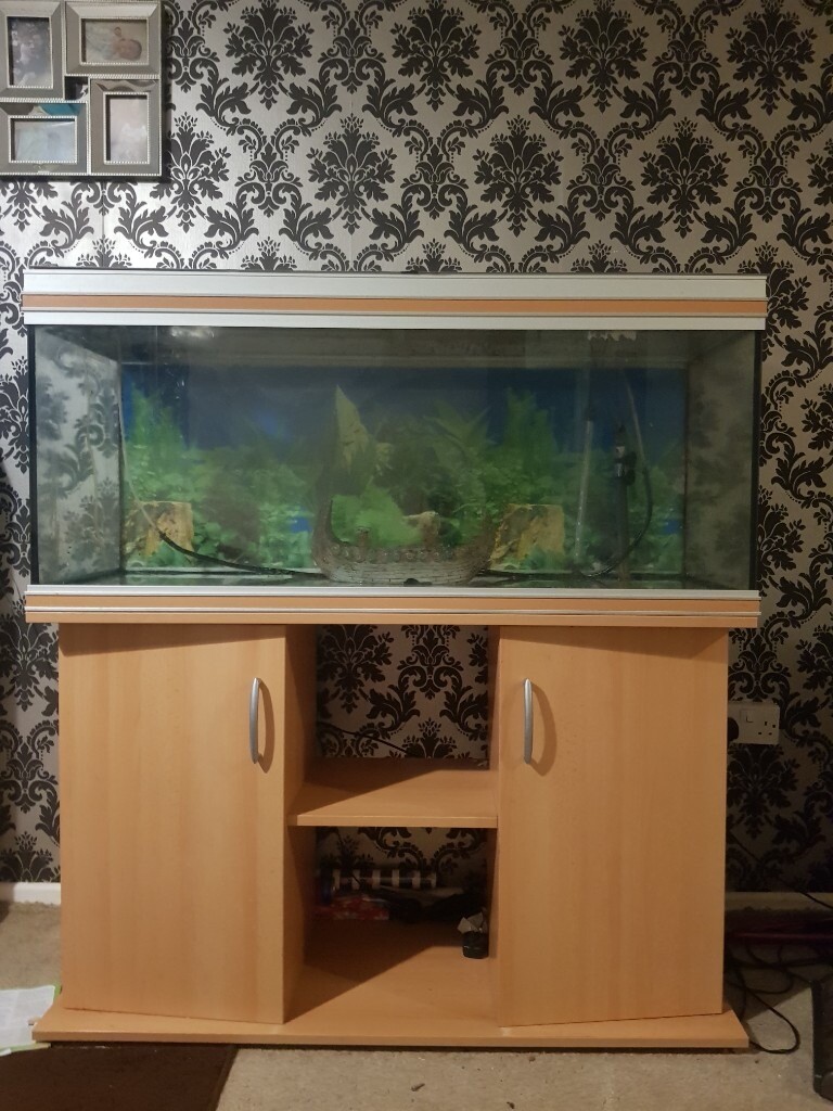 Large fish tank for sale in Llanedeyrn, Cardiff Gumtree