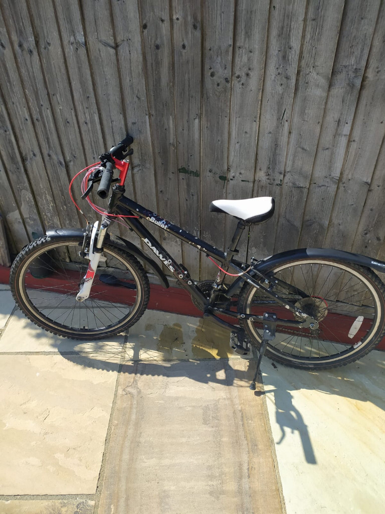 dawes 24 inch bike