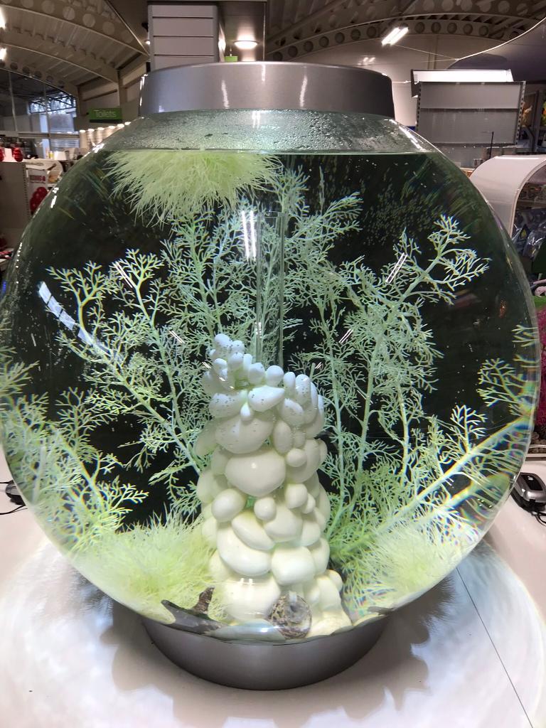 Fish Tank Bio Orb 60 litre in Lancaster, Lancashire Gumtree