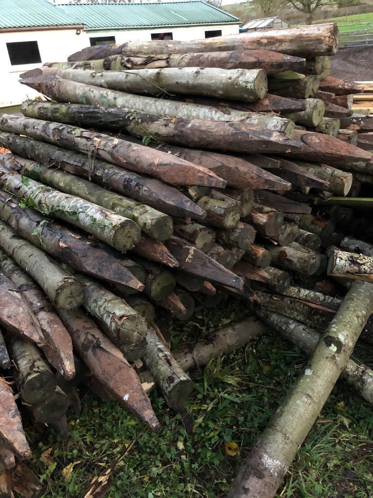 Reclaimed Chesnut Fence Posts in Somerset Gumtree