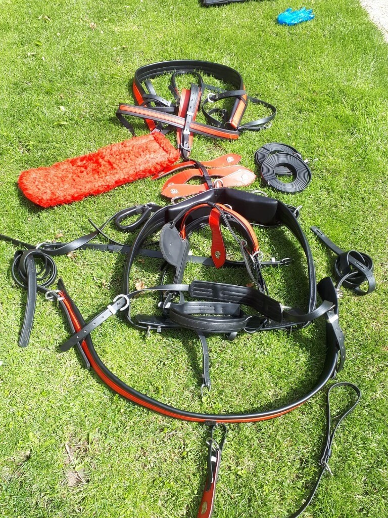 Top mark harness. Horse .Pony harness in Andover, Hampshire Gumtree