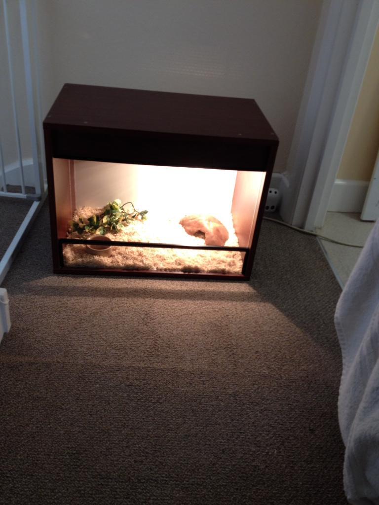 Reptile vivarium for sale in Eltham, London Gumtree
