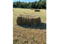 Small hay bales. Organic meadow grass