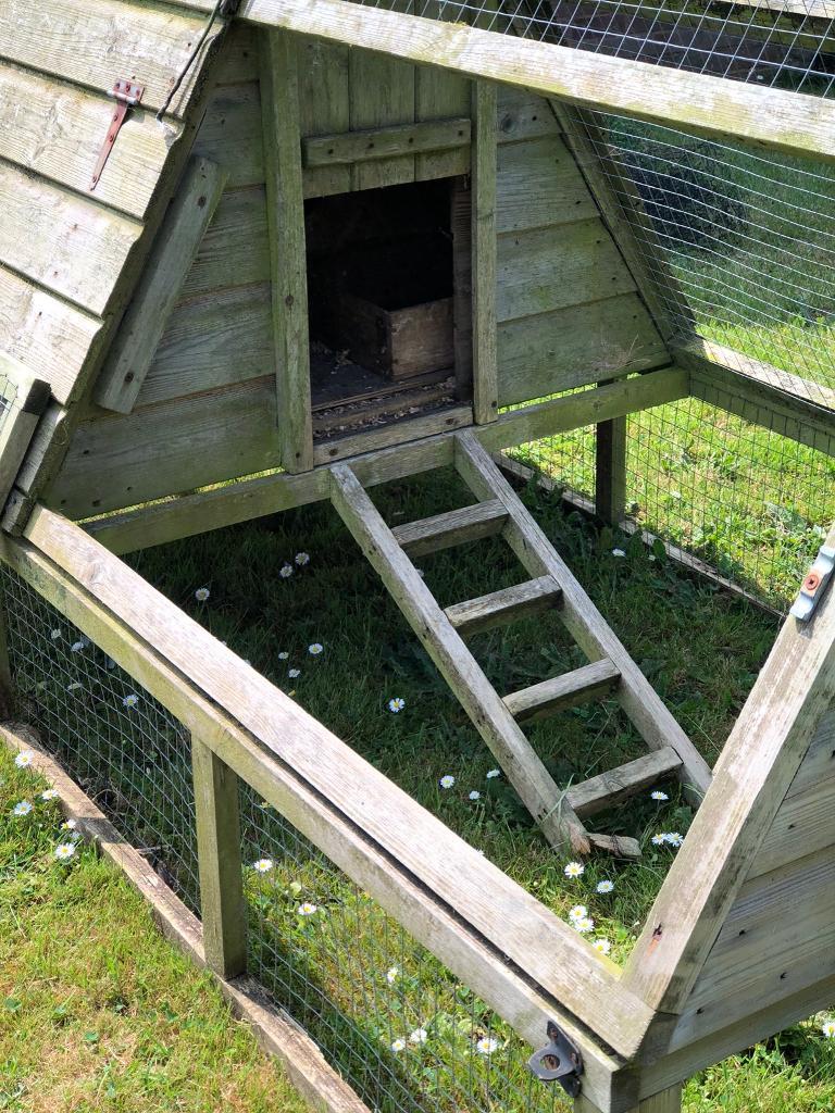  Chicken Coop in Exmouth Devon Gumtree
