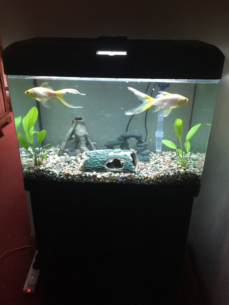 Reserved Fish tank with 2 door stand and storage in
