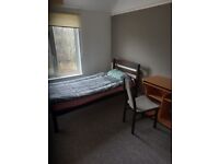 A large single room to rent 