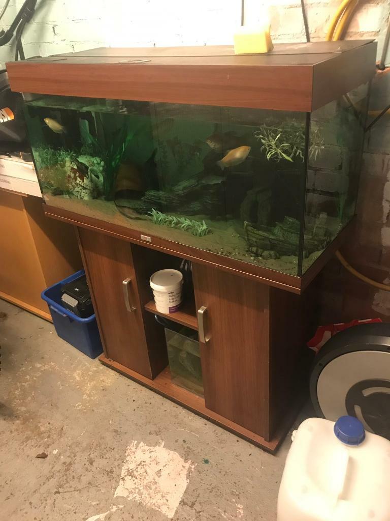 Full aquarium set up in Durham, County Durham Gumtree