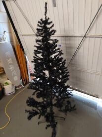 image for 6ft BLACK PINE CHRISTMAS TREE c/w METAL STAND ----- GOOD CONDITION LOOKS GREAT WHEN DECORATED