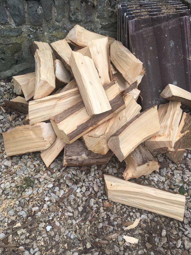 Logs for sale in Gloucestershire Gumtree
