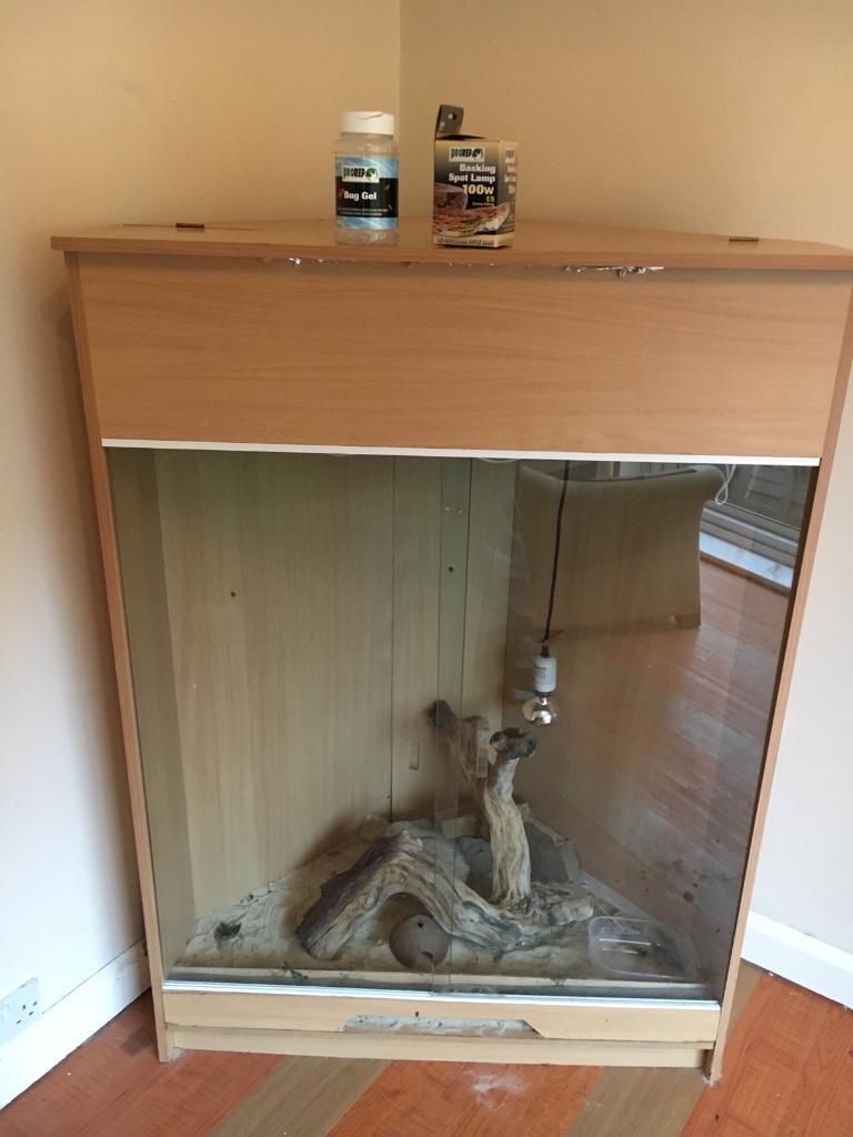 Large corner vivarium in Ipswich, Suffolk Gumtree