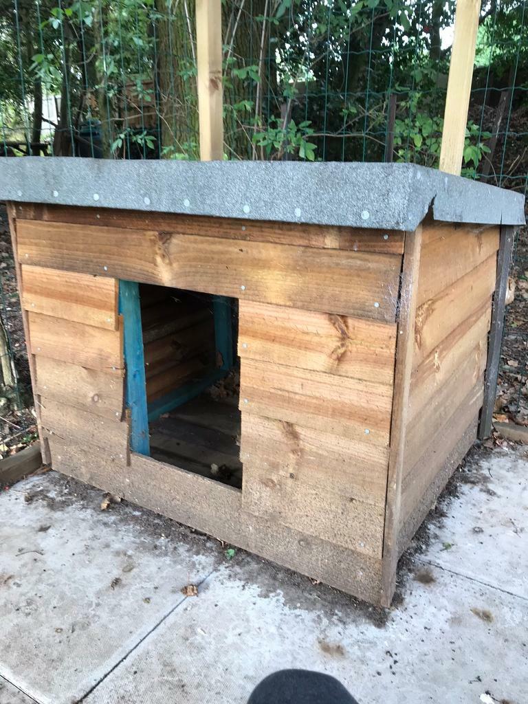 Dog run and kennel / chicken run ? in Drayton, Norfolk Gumtree