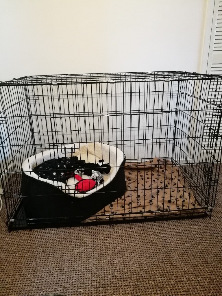 XXL dog cage for sale in East Kilbride, Glasgow Gumtree