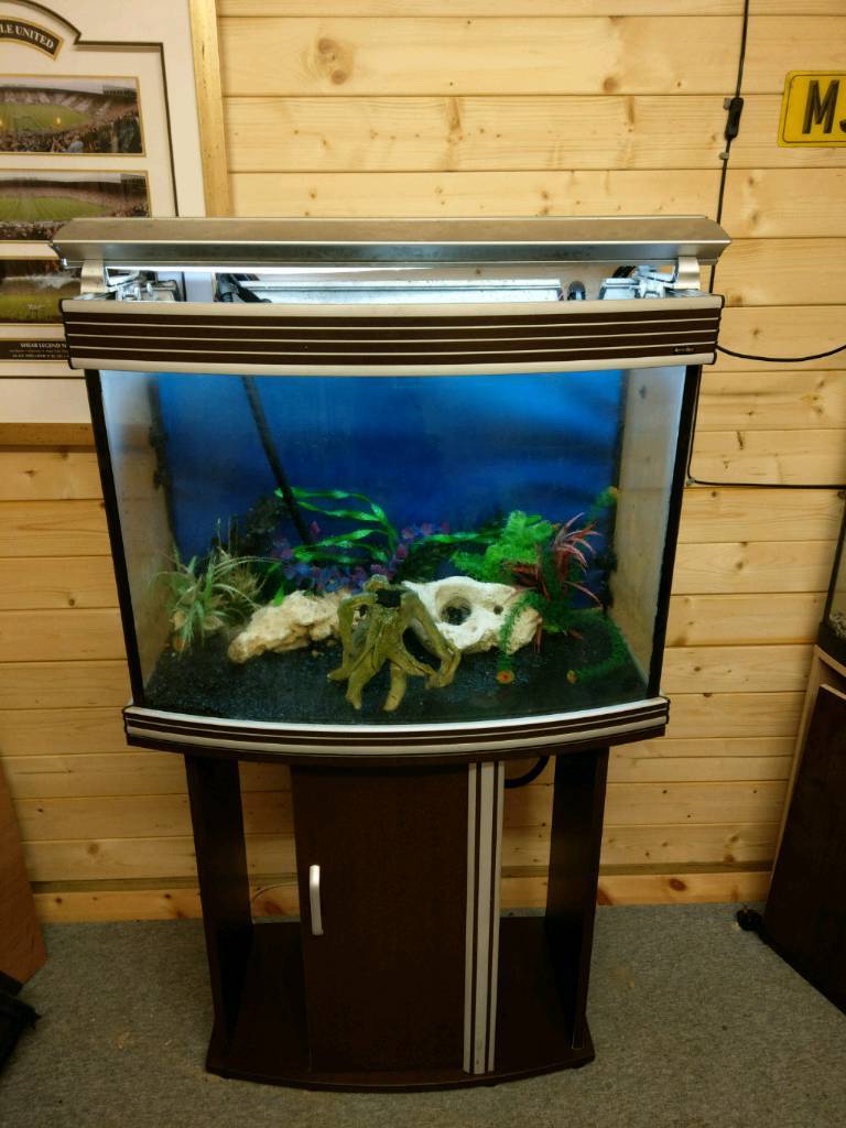 Aqua One 200L Tropical Fish Tank Setup with Fluval Exernal Filter in