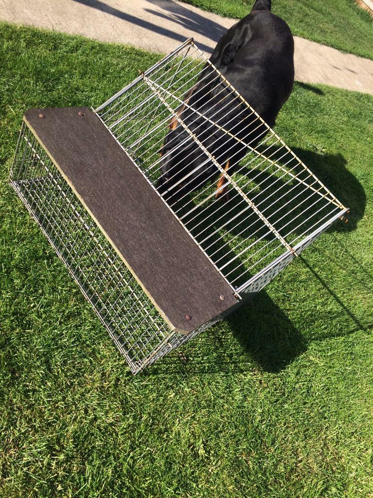 Pigeon trap, pigeon, racing pigeon in Redcar, North Yorkshire Gumtree