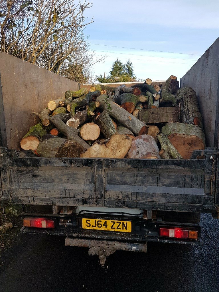 Truckload of unprocessed hardwood logs/firewood in Moira, County