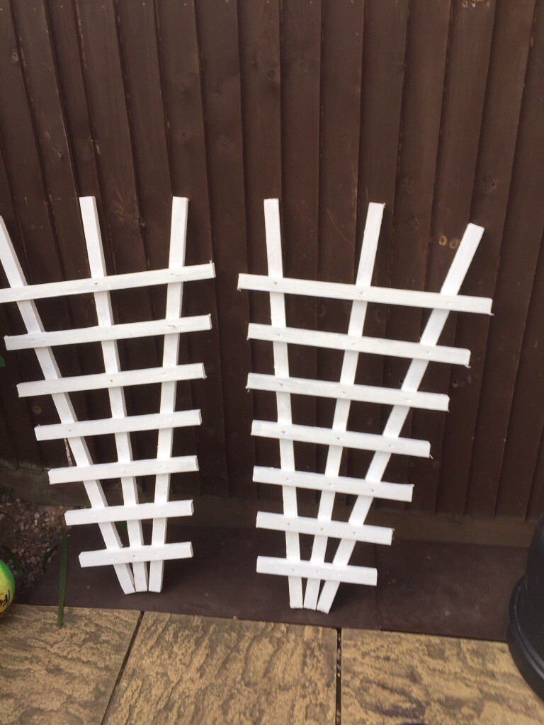 4ft trellis x 2 in Costessey, Norfolk Gumtree