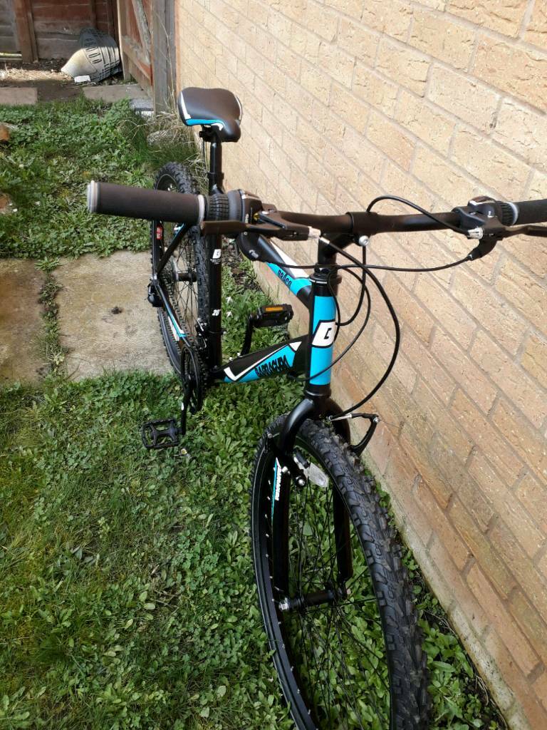 Barracuda mountain bike in Kings Lynn, Norfolk Gumtree