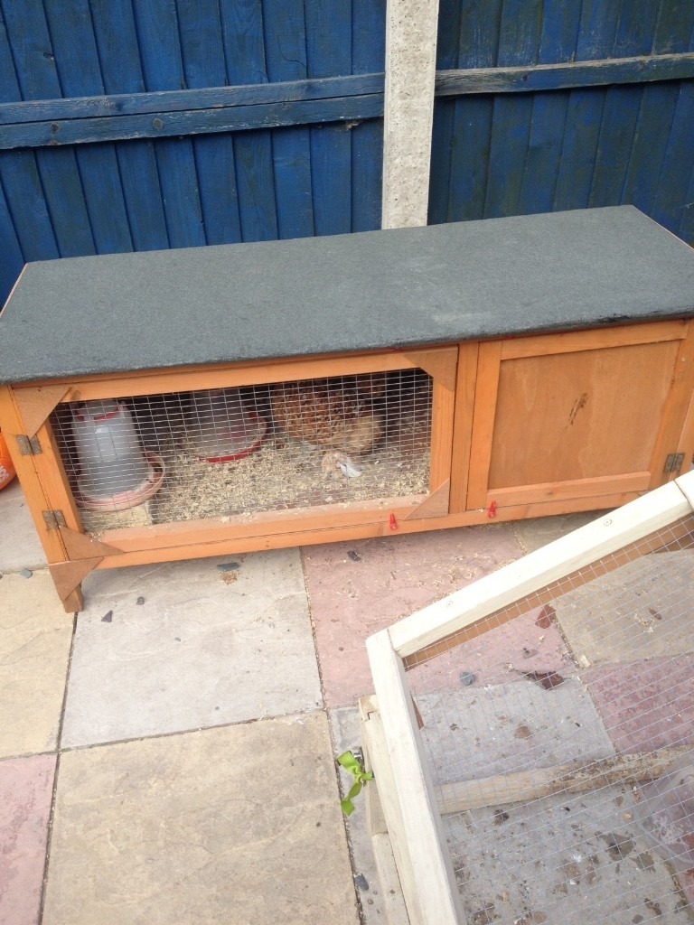 4 Foot Rabbit Hutch,Guinea Pig Cage,Broody Hen Pen in Mansfield