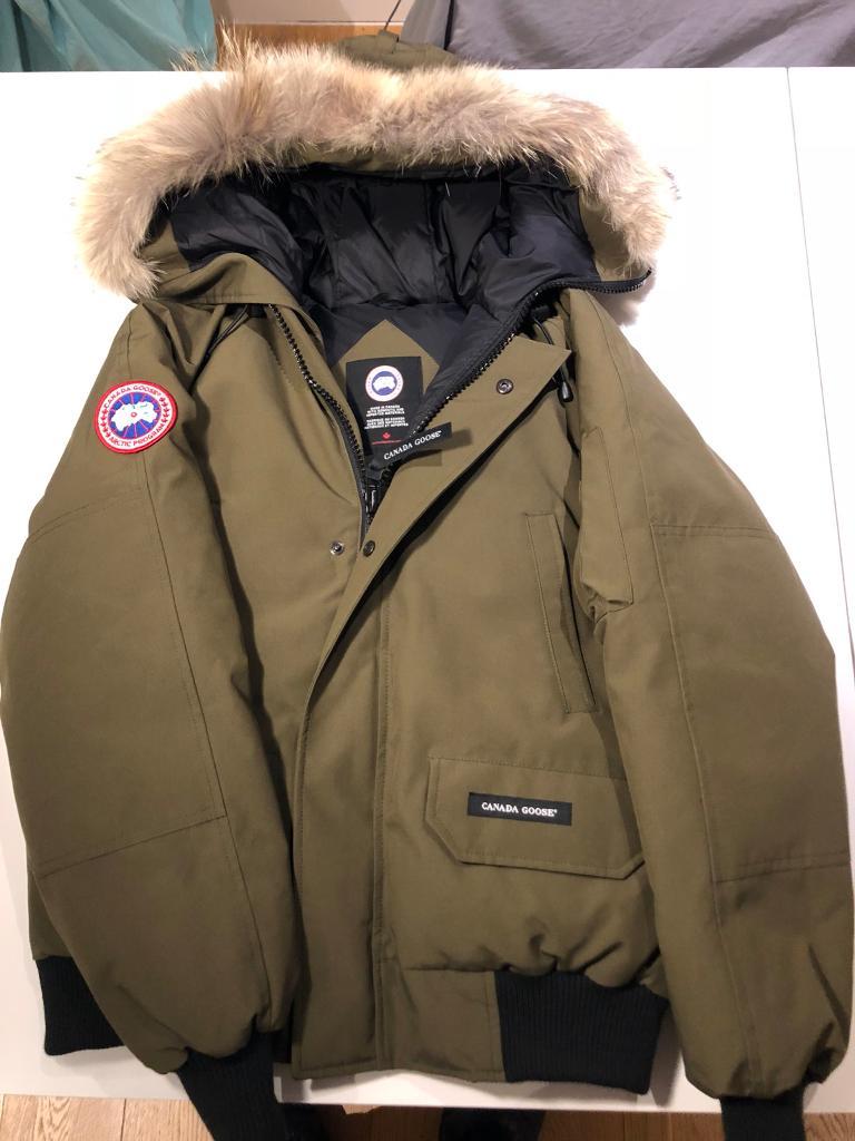 canada goose belfast canada goose belfast