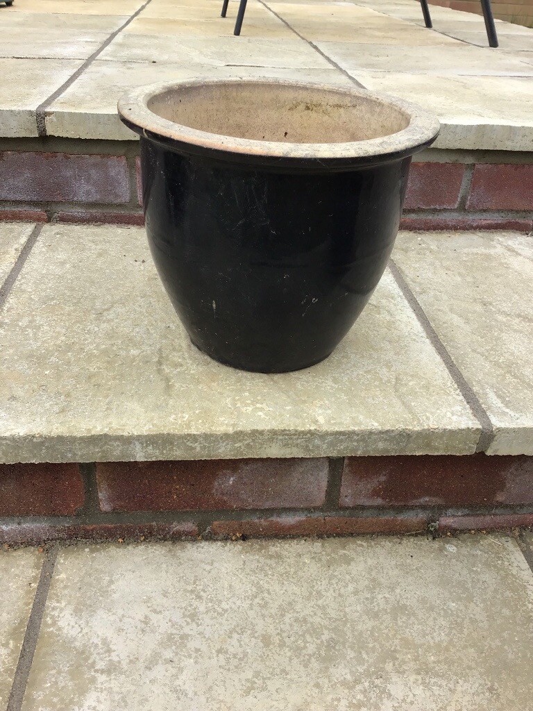 Black Garden Pot in Norwich, Norfolk Gumtree