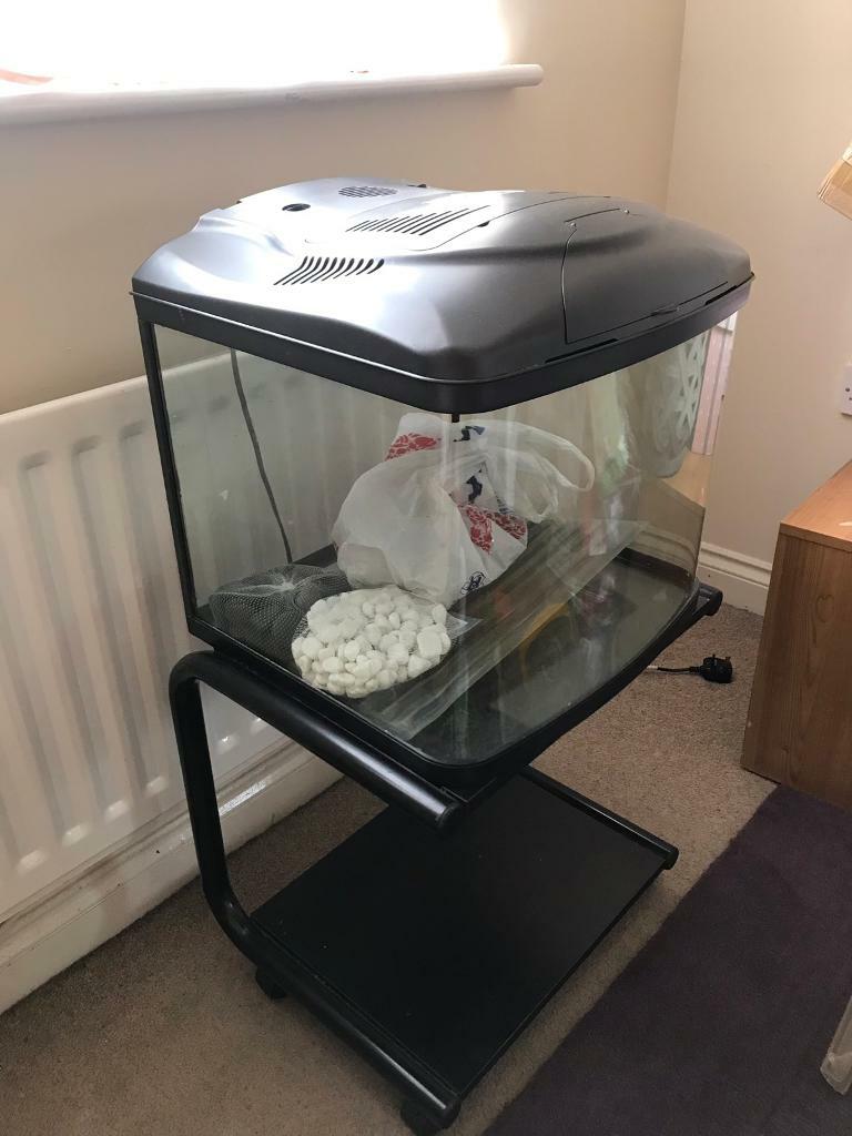 Fish x box,fish tank 48L with stand in Colchester, Essex Gumtree