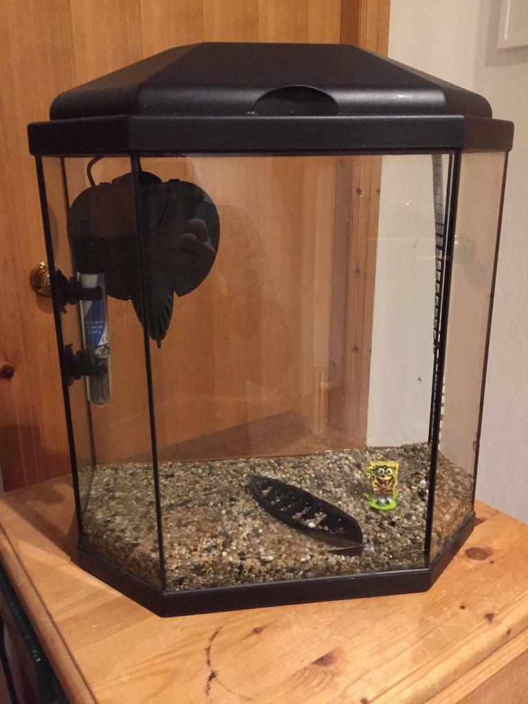 30l Fish tank with filter, heater & light in Inverness, Highland