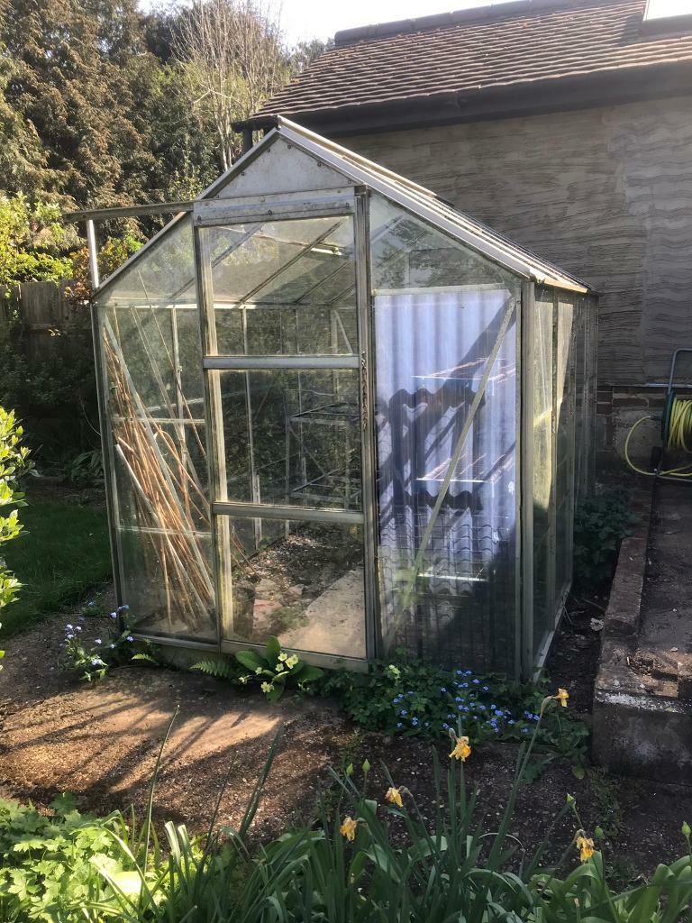 Free Greenhouse in Tonbridge, Kent Gumtree
