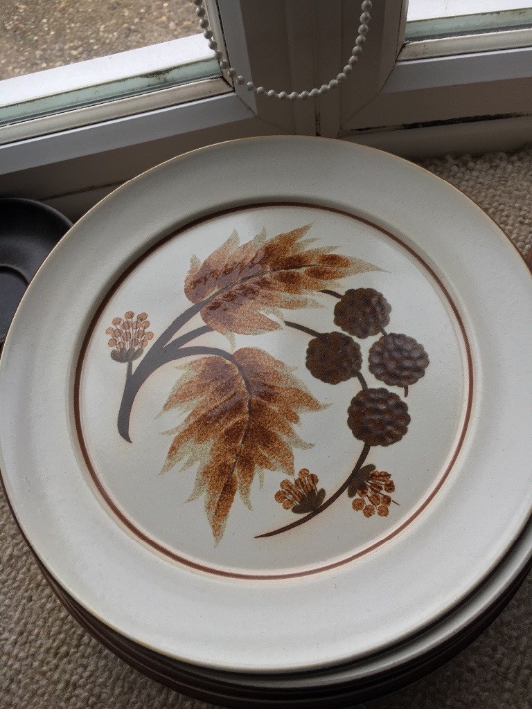 9 x Denby ‘Cotswold’ Dinner Plates in Droitwich, Worcestershire Gumtree