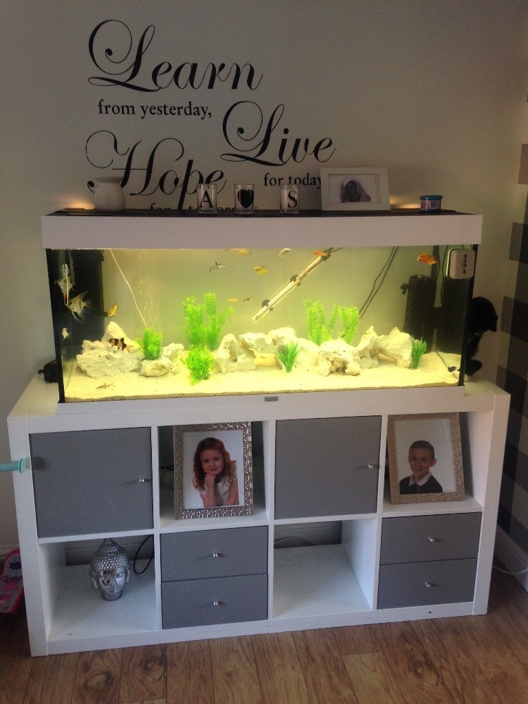 4ft 240ltr juwel rio fish tank (50 gallon) in Hamilton