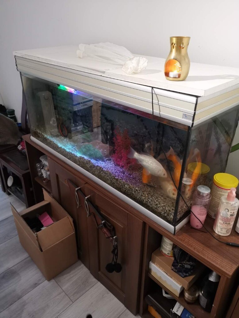 large fish tank with stand for sale 80 in Hillingdon, London Gumtree