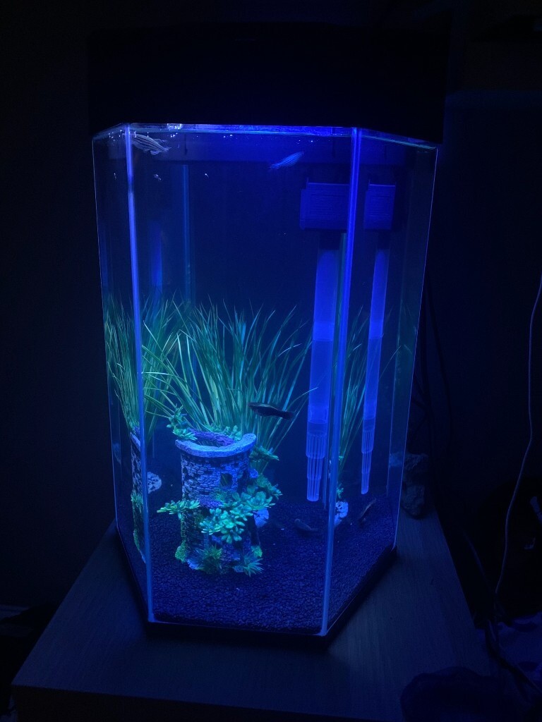 Almost New Hexagon 28L Fish Tank in Hounslow, London Gumtree