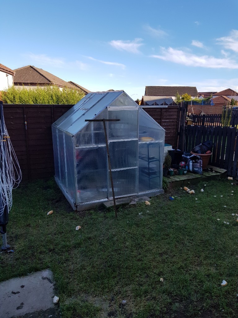 Greenhouse 6ft x 6ft polycarbinate in Dundee Gumtree