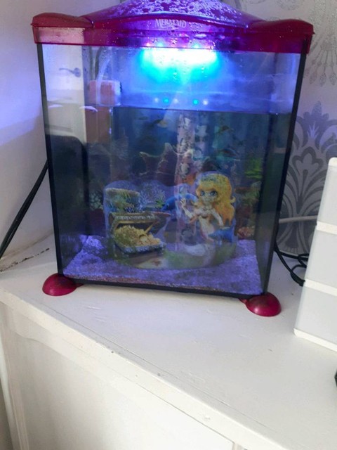 Mermaid Fish Tank With Small Fish In County Antrim Gumtree