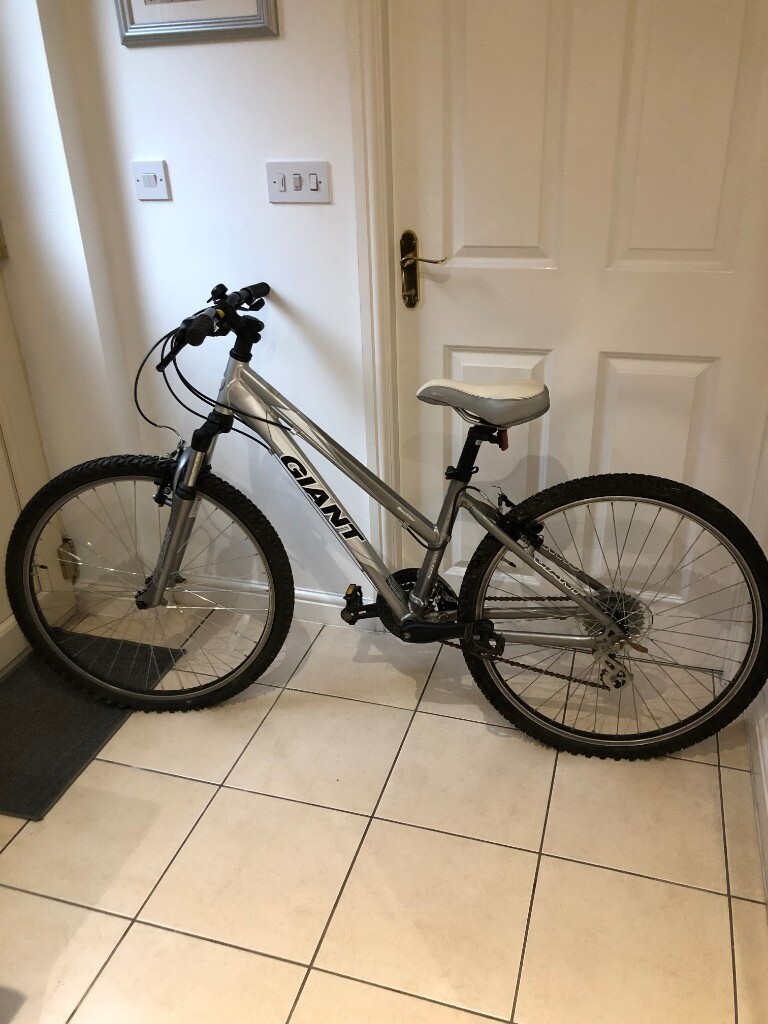 giant aluxx 6000 series mountain bike