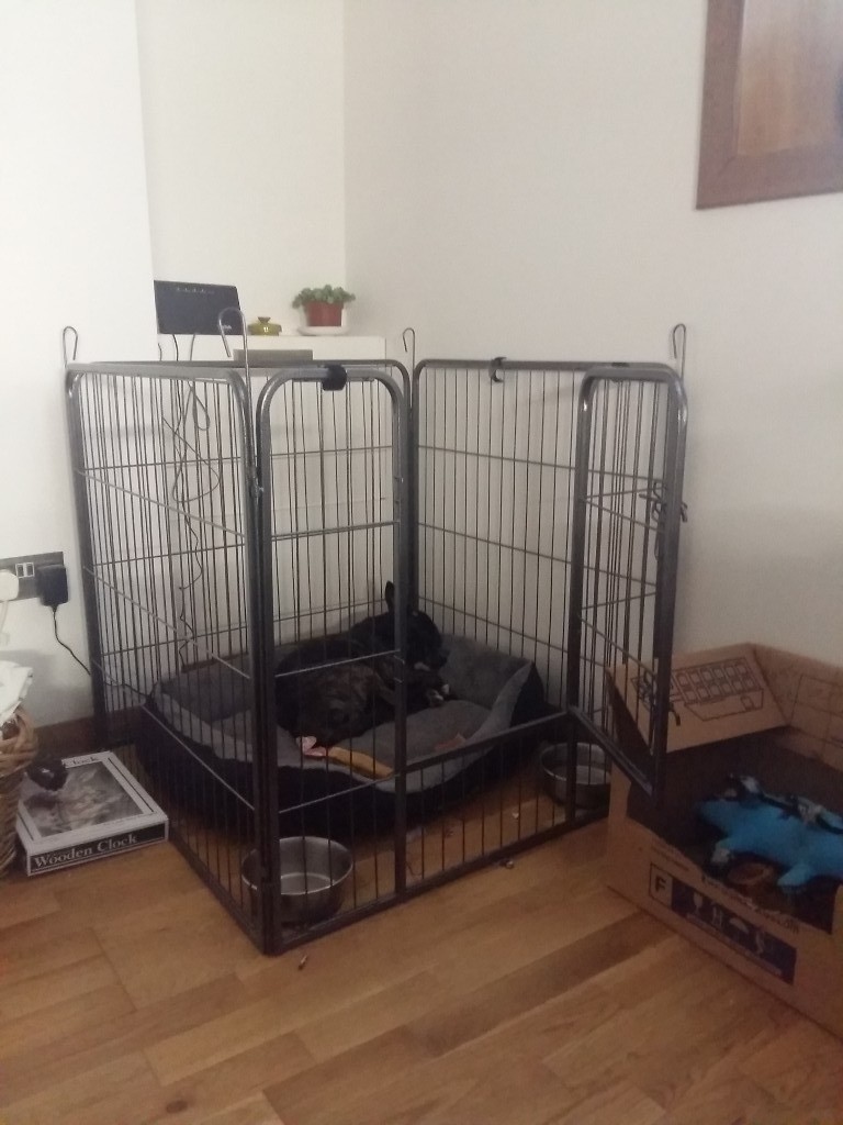 Pet play pen/ crate in Aberdeen Gumtree