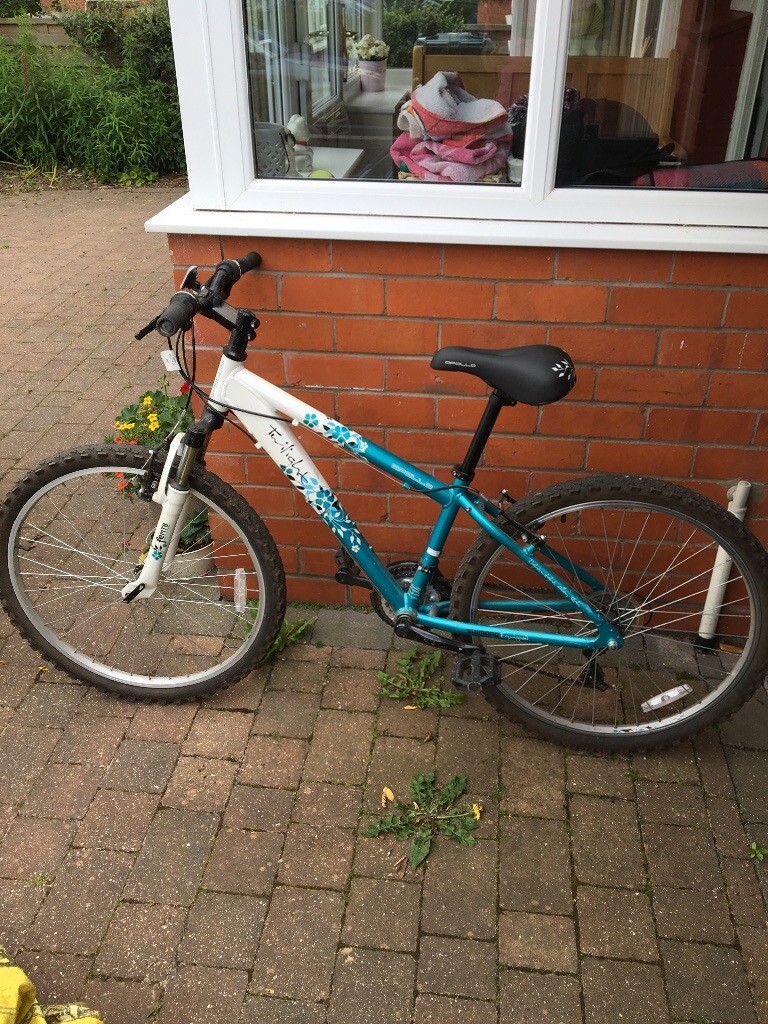 apollo twilight womens mountain bike 2017