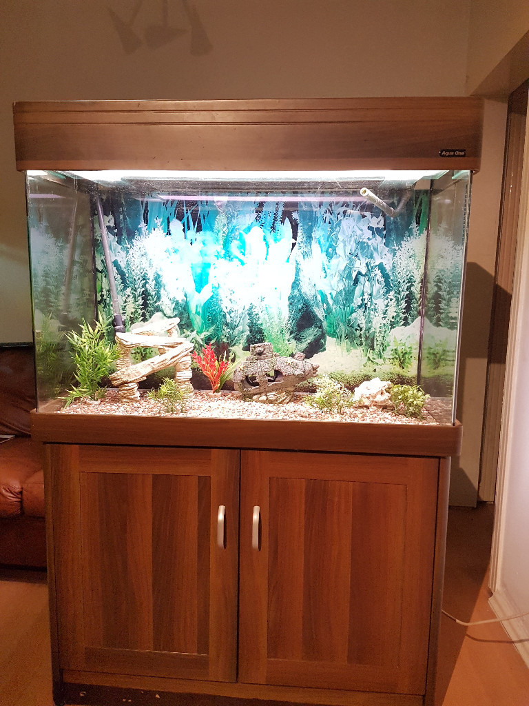 300 LITER AQUA ONE FISH TANK WITH CURVED EDGES FOR EASY VIEWING,,FULL
