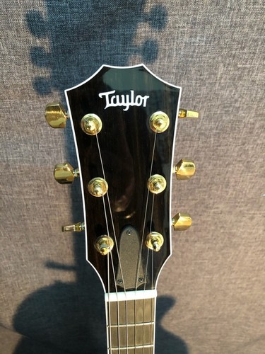 Taylor T5 Macassar Ebony
