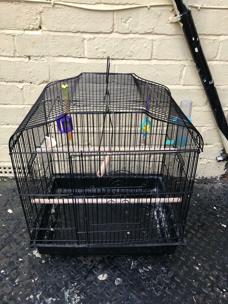 Bird cage for sale in Sheffield, South Yorkshire Gumtree