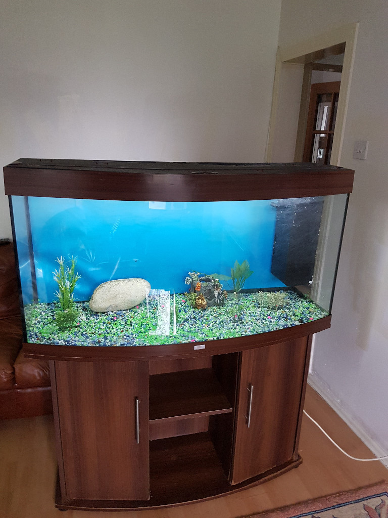 4FT JUWEL BOW FRONTED 280 LITER FISH TANK AND STAND FOR